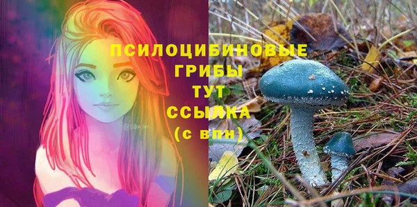 альфа пвп Богородск