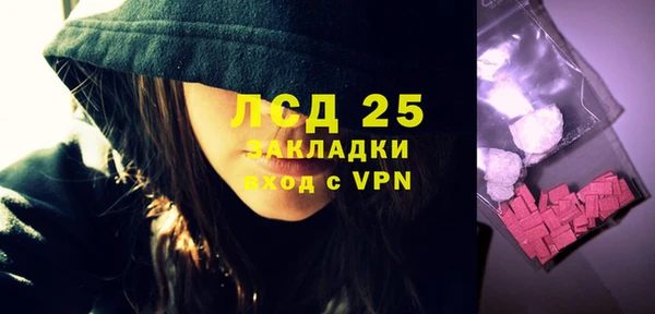 ПСИЛОЦИБИНОВЫЕ ГРИБЫ Богданович
