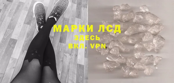 ПСИЛОЦИБИНОВЫЕ ГРИБЫ Богданович