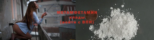 ПСИЛОЦИБИНОВЫЕ ГРИБЫ Богданович