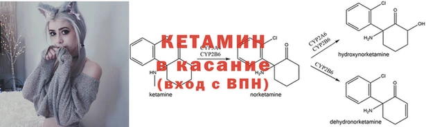 ПСИЛОЦИБИНОВЫЕ ГРИБЫ Богданович