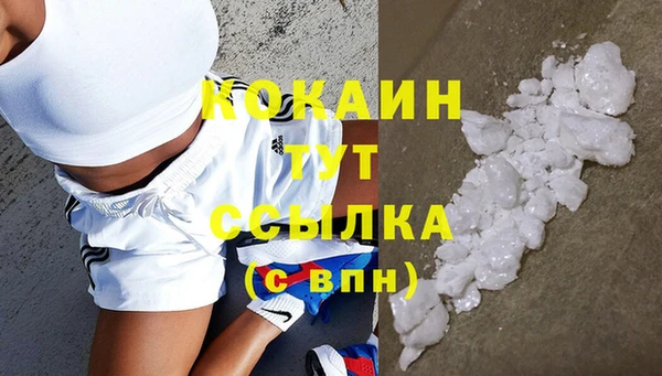 сатива Богородицк