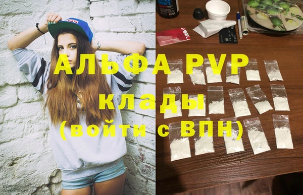 ПСИЛОЦИБИНОВЫЕ ГРИБЫ Богданович