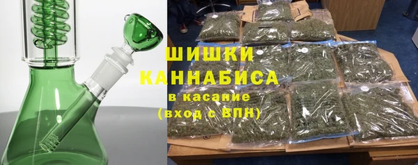 сатива Богородицк
