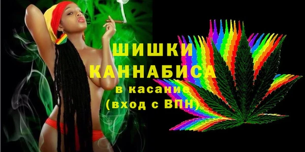 ПСИЛОЦИБИНОВЫЕ ГРИБЫ Богданович