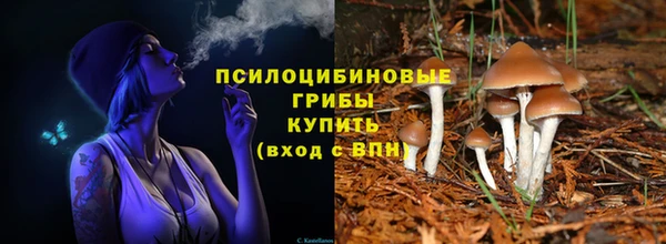 сатива Богородицк