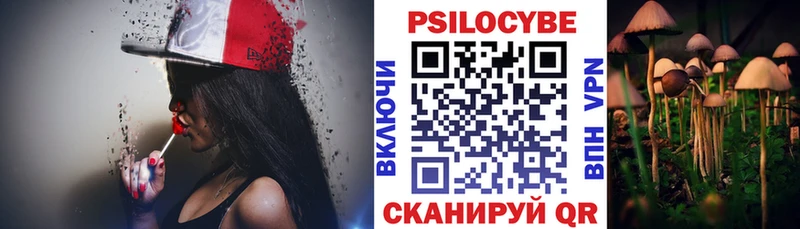 Купить закладки  Старая Русса  Псилоцибиновые грибы мухоморы 